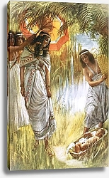 Постер Коппинг Харольд The finding of Moses