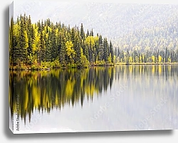 Постер США. Alaska fall color reflected in a river