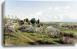 Постер Сергеев Николай Яблони в цвету. В Малороссии. 1895