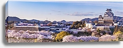 Постер Япония, замок Химэдзи в сезон цветения сакуры