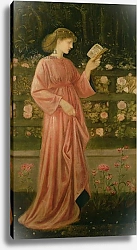 Постер Берне-Джонс Эдвард Princess Sabra 1865-66