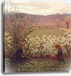 Постер Пелицца Джузеппе Flowering Meadow