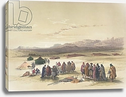 Постер Робертс Давид Encampment of the Alloeen in Wady Araba