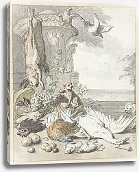 Постер Виникс Ян Dood wild, een aap, een hond en enige vogels