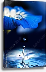 Постер Голубой цветок с падающей каплей №3