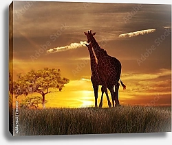 Постер Жирафы на закате 1