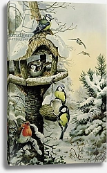 Постер Даннер Карл (совр) Winter Bird Table with Blue Tits, Great Tits, House Sparrows and a Robin
