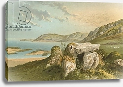 Постер Школа: Английская 19в. Rozel Bay & Druidical Remains--Jersey