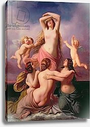 Постер Стейнбрук Эдуард The Birth of Venus, 1846
