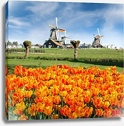 Постер Нидерланды, Зансе-Сханс