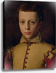 Постер Бронзино Анджело Portrait of Ferdinando de' Medici
