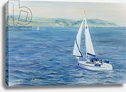 Постер Миятт Антония Sailing Home, 1999
