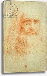 Постер Леонардо да Винчи (Leonardo da Vinci) Self portrait, c.1512