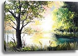 Постер Озеро в летнем лесу