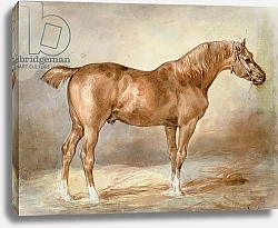 Постер Жерико Теодор A docked chestnut horse