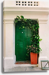 Постер Зеленая дверь