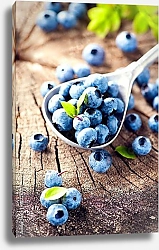Постер Спелые и сочные ягоды голубики в деревянной ложке