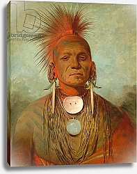 Постер Кэтлин Джордж See-non-ty-a, an Iowa Medicine Man, 1844-45
