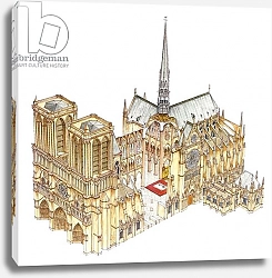 Постер Азнар Ценамор Фернандо Notre-Dame Cathedral. Paris, France
