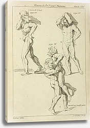 Постер Рубенс Петер (Pieter Paul Rubens) Four male figures; two bearing large books on their shoulders and the other two wrestling
