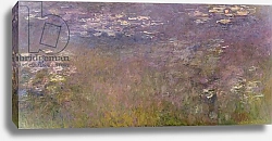 Постер Моне Клод (Claude Monet) Water Lilies c.1915-26