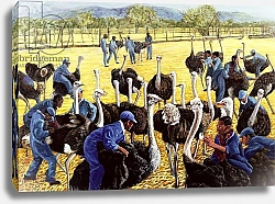 Постер Чен Коми (совр) Ostrich Farm, 1988
