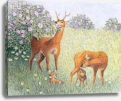 Постер Скотт Пэт (совр) Deer Family