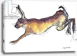 Постер Виллис Люси (совр) Jumping Hare