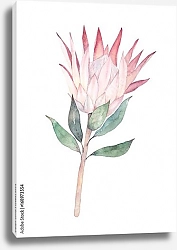 Постер Экзотический акварельный цветок