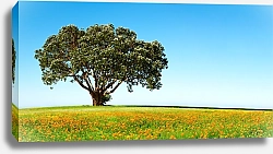 Постер Панорама с цветами и одиноким деревом