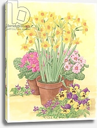 Постер Бентон Линда (совр) Pots of Spring Flowers, 2003