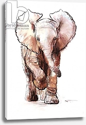 Постер Адлингтон Марк (совр) Baby Elephant, Loisaba, 2018,