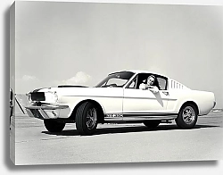 Постер Shelby GT350 '1965