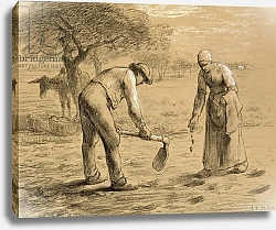 Постер Милле, Жан-Франсуа Peasants planting potatoes
