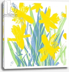 Постер Фрэн Дженни Spring Daffodils