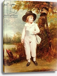 Постер Рейнолдс Джошуа John Charles Spencer, Viscount Althorp, 1786