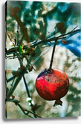Постер Лайонс Джой (совр) Jerusalem Pomegranate, 2016