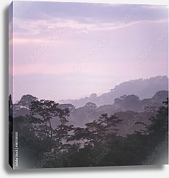Постер Розовый туман над джунглями