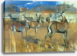 Постер Адлингтон Марк (совр) Gathering Deer, 1998