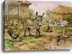 Постер Даннер Карл (совр) Donkey and Farmyard Fowl