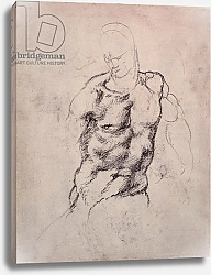 Постер Микеланджело (Michelangelo Buonarroti) Figure Study