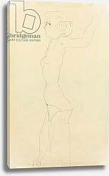 Постер Шиле Эгон (Egon Schiele) Female Nude; Madchenakt, 1911 1