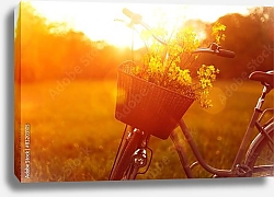 Постер Велосипед с цветами 2