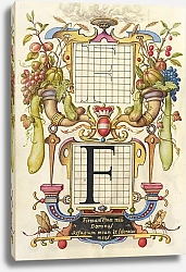 Постер Хофнагель Йорис Guide for Constructing the Letter F