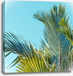 Постер Пальмовые листья 3