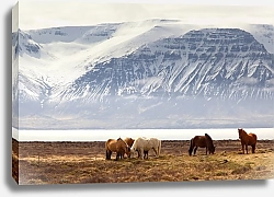 Постер Стадо лошадей на фоне гор