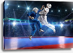 Постер Два бойца кудо сражаются на арене
