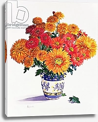 Постер Рэйленд Кристофер (совр) October Chrysanthemums