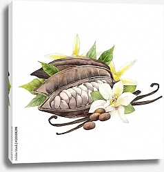 Постер Акварельные какао-фрукты и цветы ванили