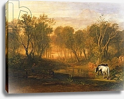 Постер Тернер Уильям (William Turner) The Forest of Bere, c.1808